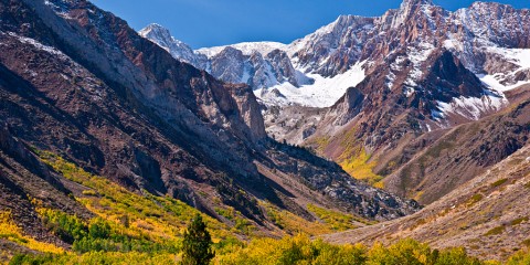 Fall colors in the Eastern Sierras