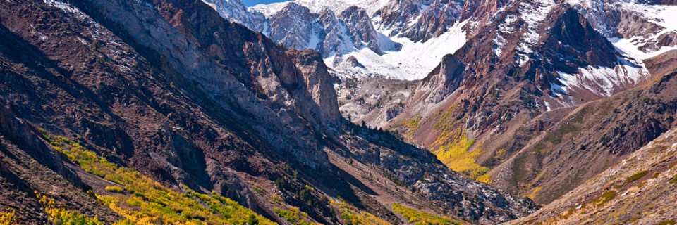 Fall colors in the Eastern Sierras