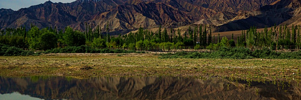 Ladakh: A land of contrasts