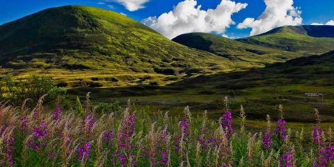 Scotland: Eclectic Mix