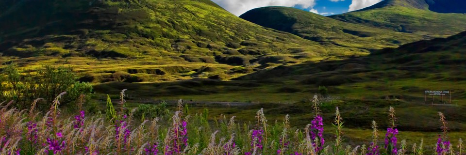 Scotland: Eclectic Mix