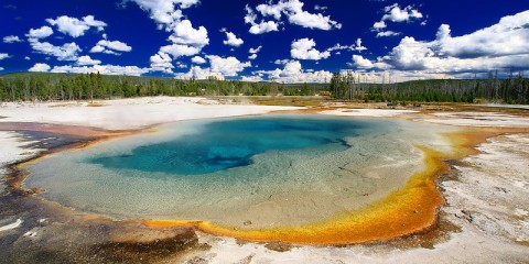 Live Earth : Yellowstone