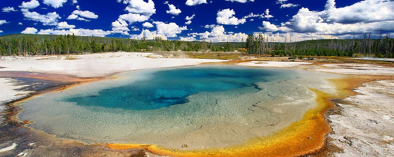 Live Earth : Yellowstone